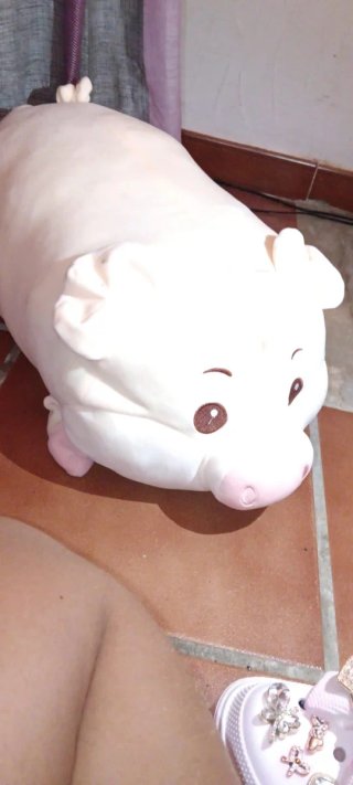 Peluche de Cerdo Rosa Grande
