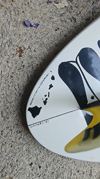 Tabla Kite Naish  Epoxy .