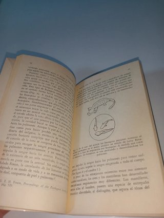 Introducción a la Biología - James F. Riley