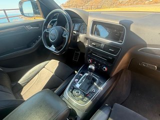 Audi SQ5 2016