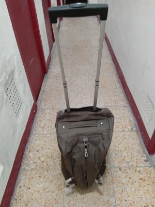 Bolsa de viaje con ruedas