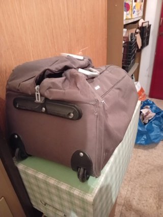 Bolsa de viaje con ruedas