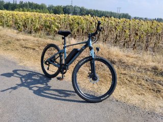 Bicicleta Montaña Eléctrica Gris