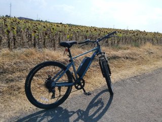 Bicicleta Montaña Eléctrica Gris