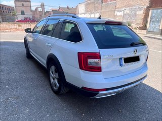 Skoda Octavia Scout 2019