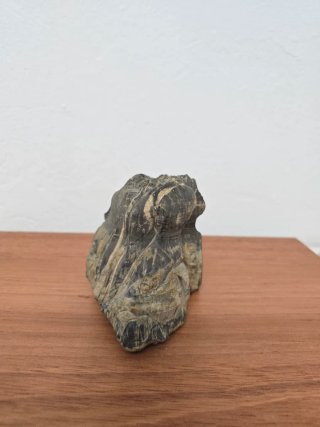 Suiseki Bonsái Piedra