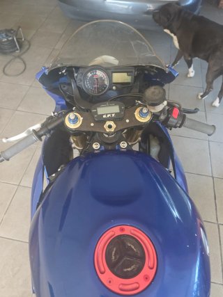 Suzuki GSX-R 600 K5 Circuito