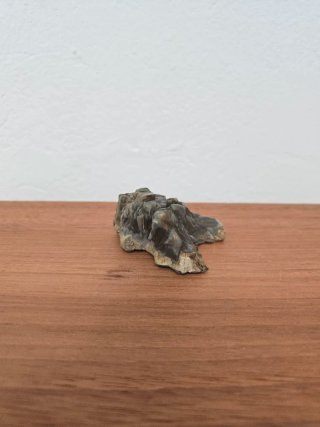 Suiseki Bonsái Piedra