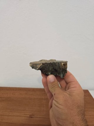 Suiseki Bonsái Piedra