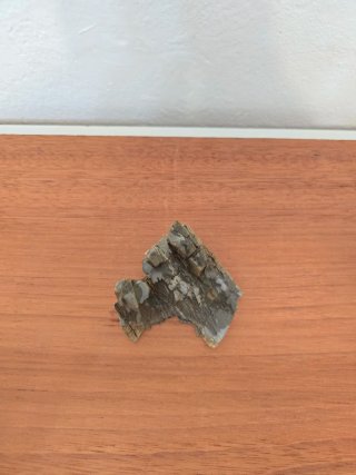 Suiseki Bonsái Piedra