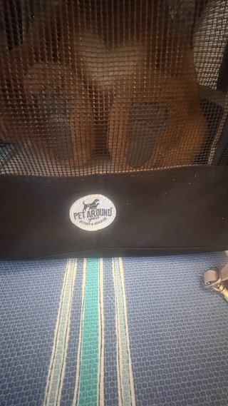 Trasportino Pet Around cane/gatto nero/marrone