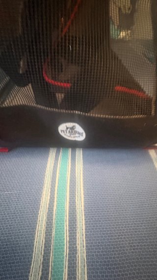Trasportino Pet Around cane/gatto nero/marrone