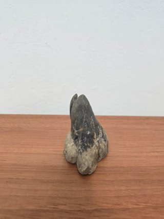 Suiseki Bonsái Piedra