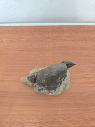 Suiseki Bonsái Piedra