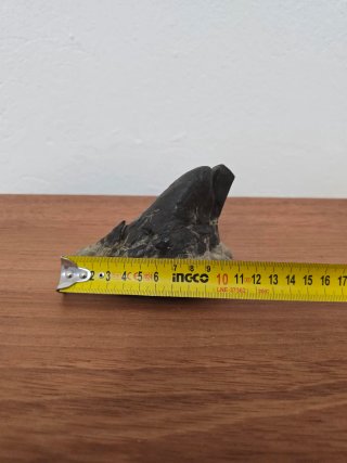 Suiseki Bonsái Piedra