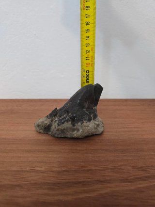 Suiseki Bonsái Piedra