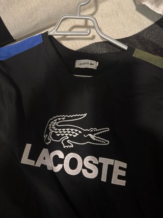 Conjunto Lacoste Verano XXL