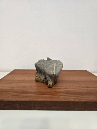 Suiseki Bonsai Piedra