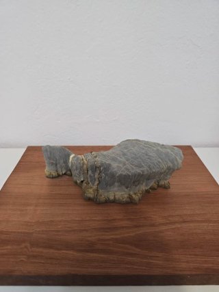 Suiseki Bonsai Piedra
