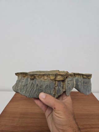 Suiseki Bonsai Piedra