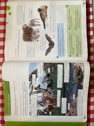 Ciencias de la Naturaleza 4 Primaria