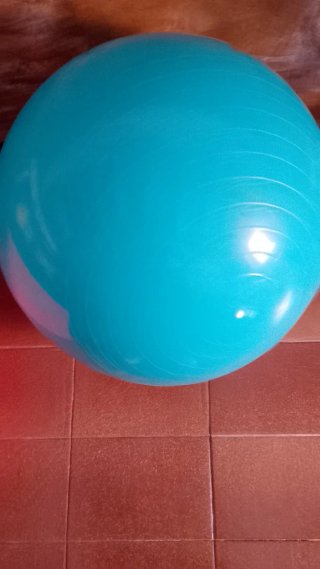 Pelota Gimnasia Domyos 65 cm por 26