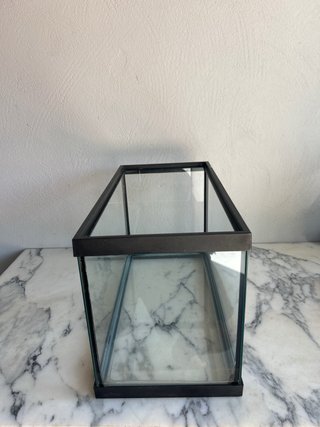 Acuario/Terrario 12L