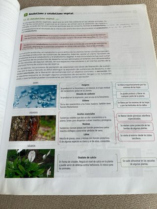 Biología, Geología y Ciencias Ambientales. 1 Ba...