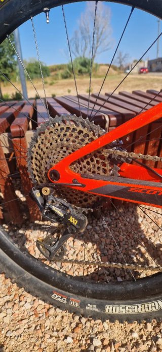 Scott Spark RC Team + Extras World Cup