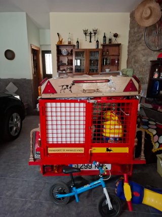 Remolque Coche con Documentación