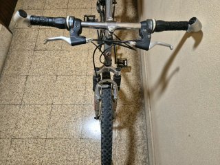 Bicicleta Boomerang talla M
