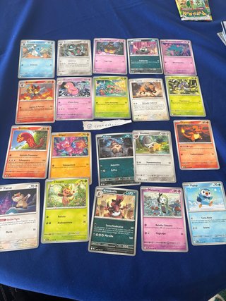 Lotto carte Pokémon