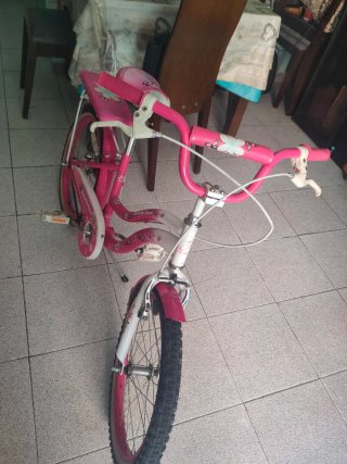 Bicicleta Niña Rosa Butterfly Flower