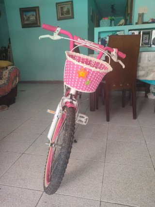Bicicleta Niña Rosa Butterfly Flower