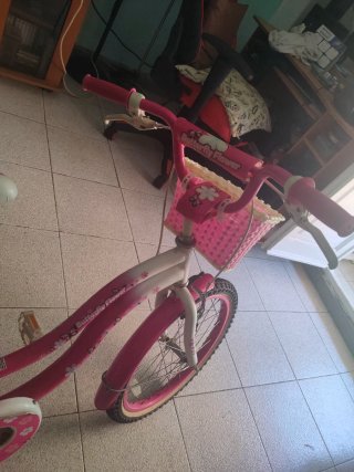 Bicicleta Niña Rosa Butterfly Flower