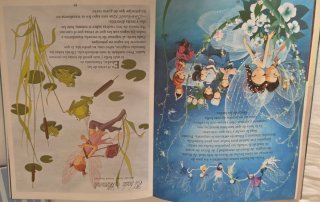 Libro de princesas