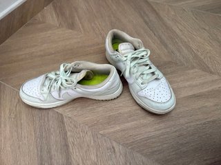 Nike Dunk Verdes y Blancas