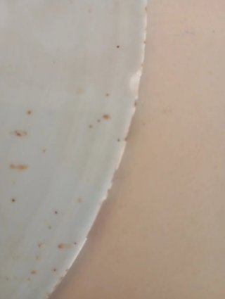 Plato de porcelana azul y blanco siglo XVIII