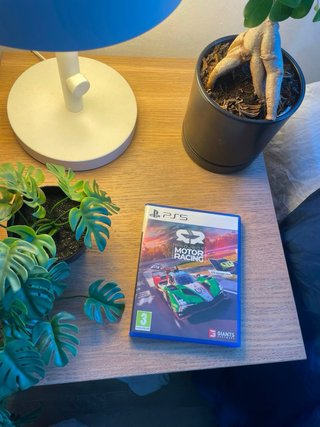 Project Motor Racing PS5 Juego