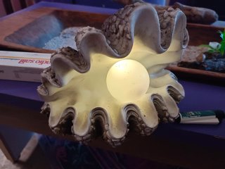 Caracola con luz LED Medidas 25x 20 aprox