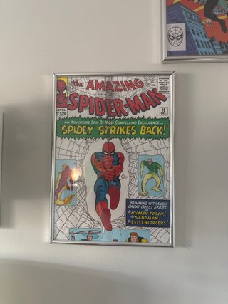 Poster spiderman Cómic The Amazing Spider-Man #19