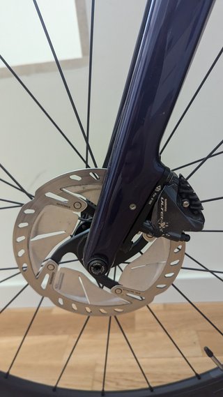 Trek Domane SL 6 Carbon Talla 60cm