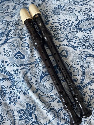 Pack 2 flautas dulces Zen-On