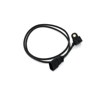 Sensor Árbol Levas Audi A4 1.9 TDI AVF (Original)