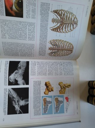 El gran Larousse de la medicina