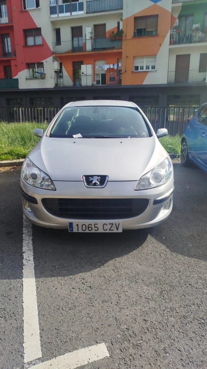 Peugeot 4007 2004 - foto 1