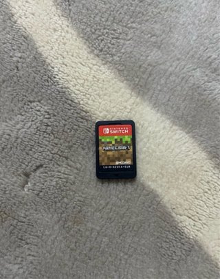 Minecraft Nintendo Switch