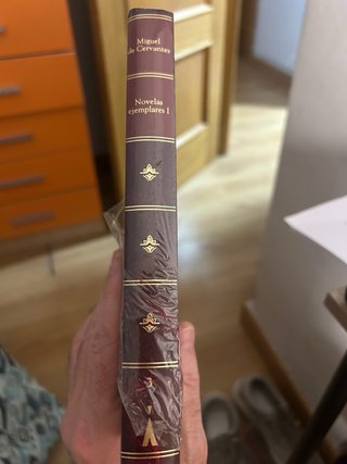 Libro de Miguel de Cervantes, N. Ejemplares I