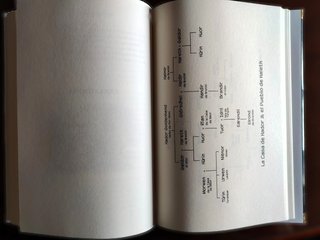 Libro Los Hijos de Húrin Tolkien Edición Ilustrada