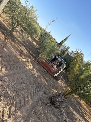 Limpieza de Parcelas, Labranzas y Tractor Crismape